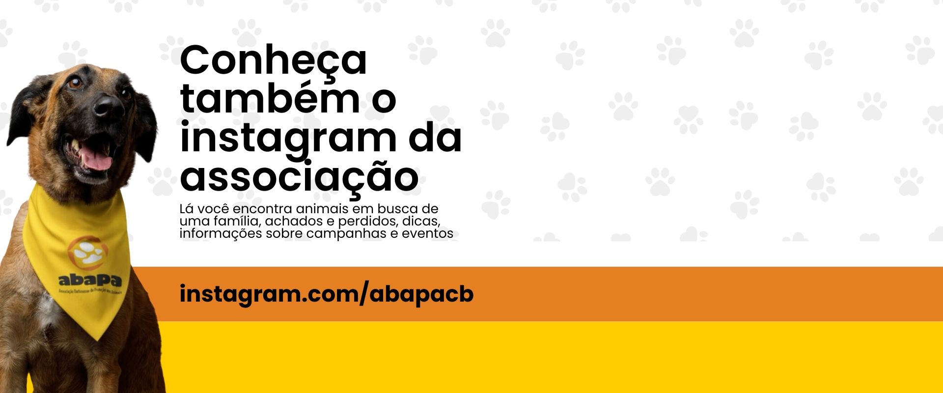 Banner novo 1